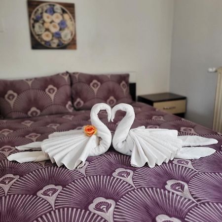 クルージュ＝ナポカCasa Anaアパートメント エクステリア 写真