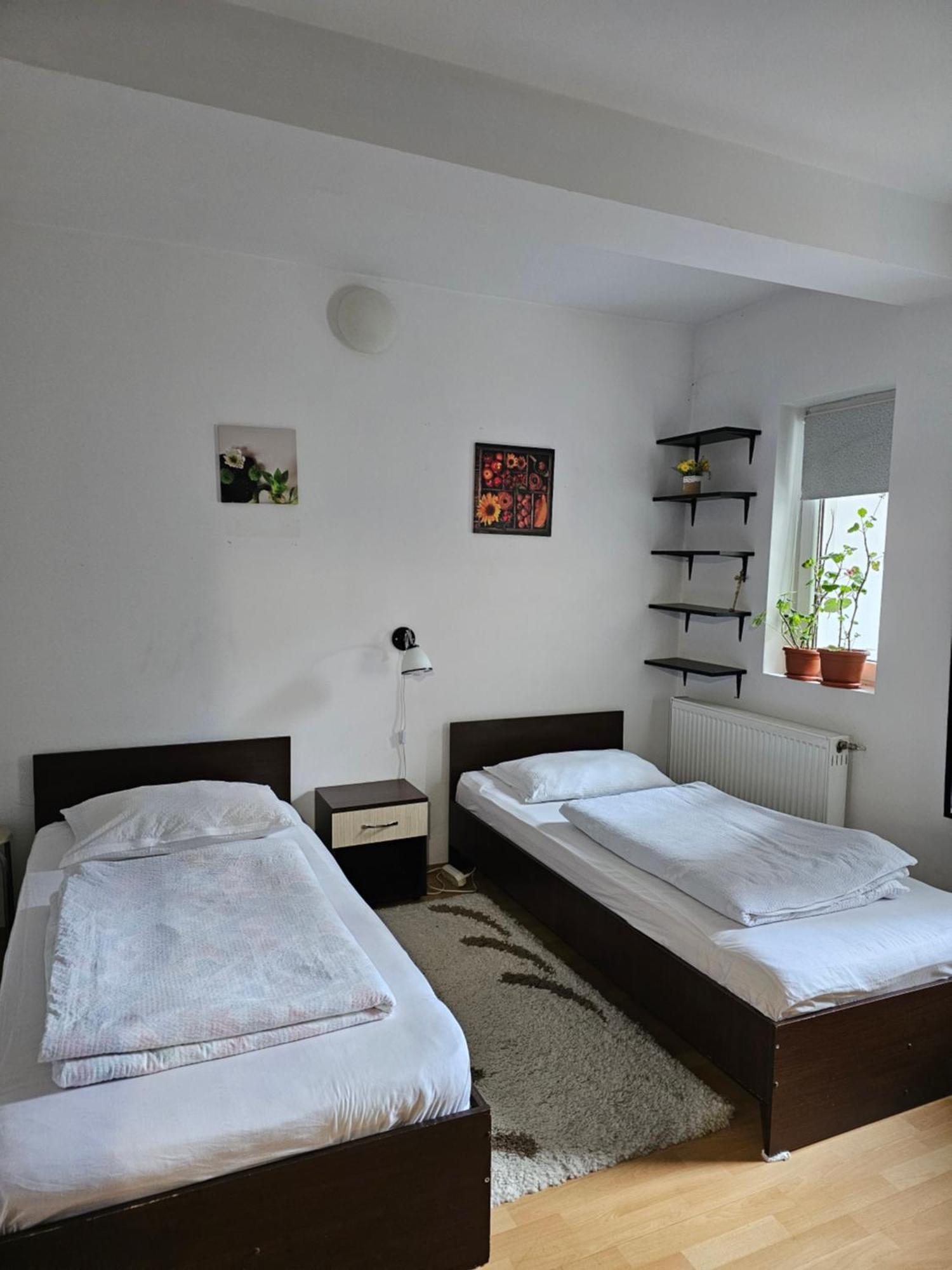 クルージュ＝ナポカCasa Anaアパートメント 部屋 写真